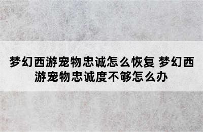 梦幻西游宠物忠诚怎么恢复 梦幻西游宠物忠诚度不够怎么办